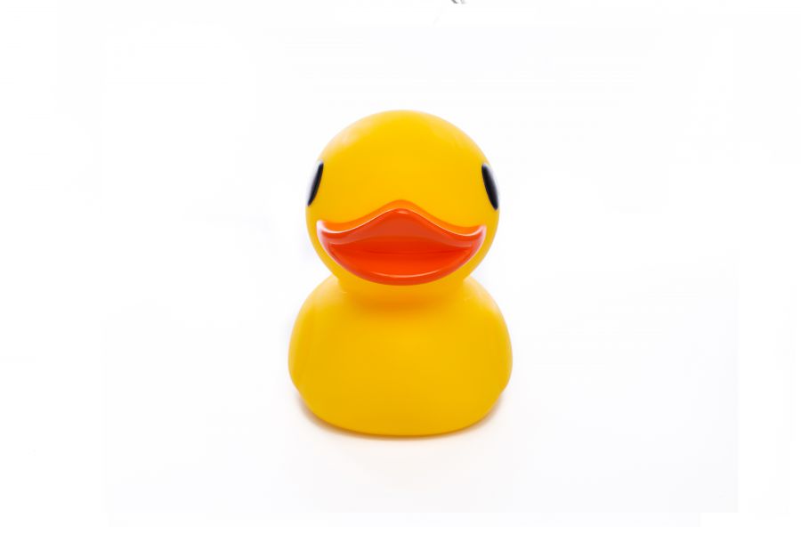 Luz de la noche de pato amarillo