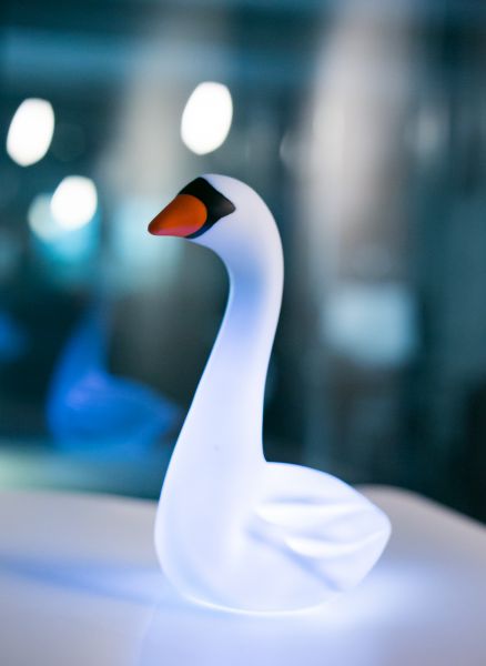 白鳥のナイトライト
