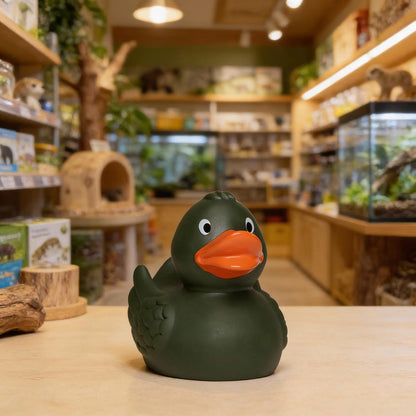 Canard uni avec ailes