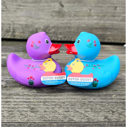 Duck Holland Tulips - Blue