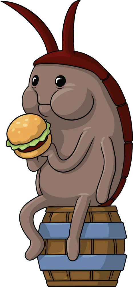Kakkerlak