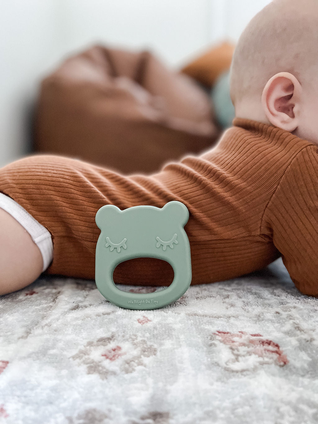 Anel de dentição de urso sábio
