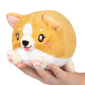 Snacker Baby Corgi S1E4