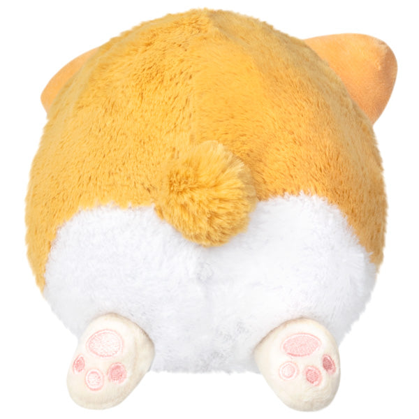 Snacker Baby Corgi S1E4