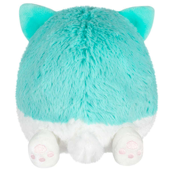squish park snackers corgi back image
