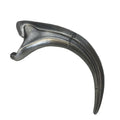 Raptor Fossil Fossil Problems