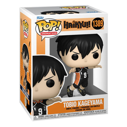 Tobio Kageyama 