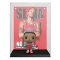 Derrick Rose – Pop! Magazine-covers 