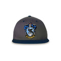 Harry Potter Ravenklauw-pet 