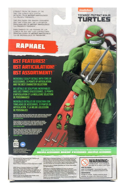 BST AXN Raphael (IDW Comics)