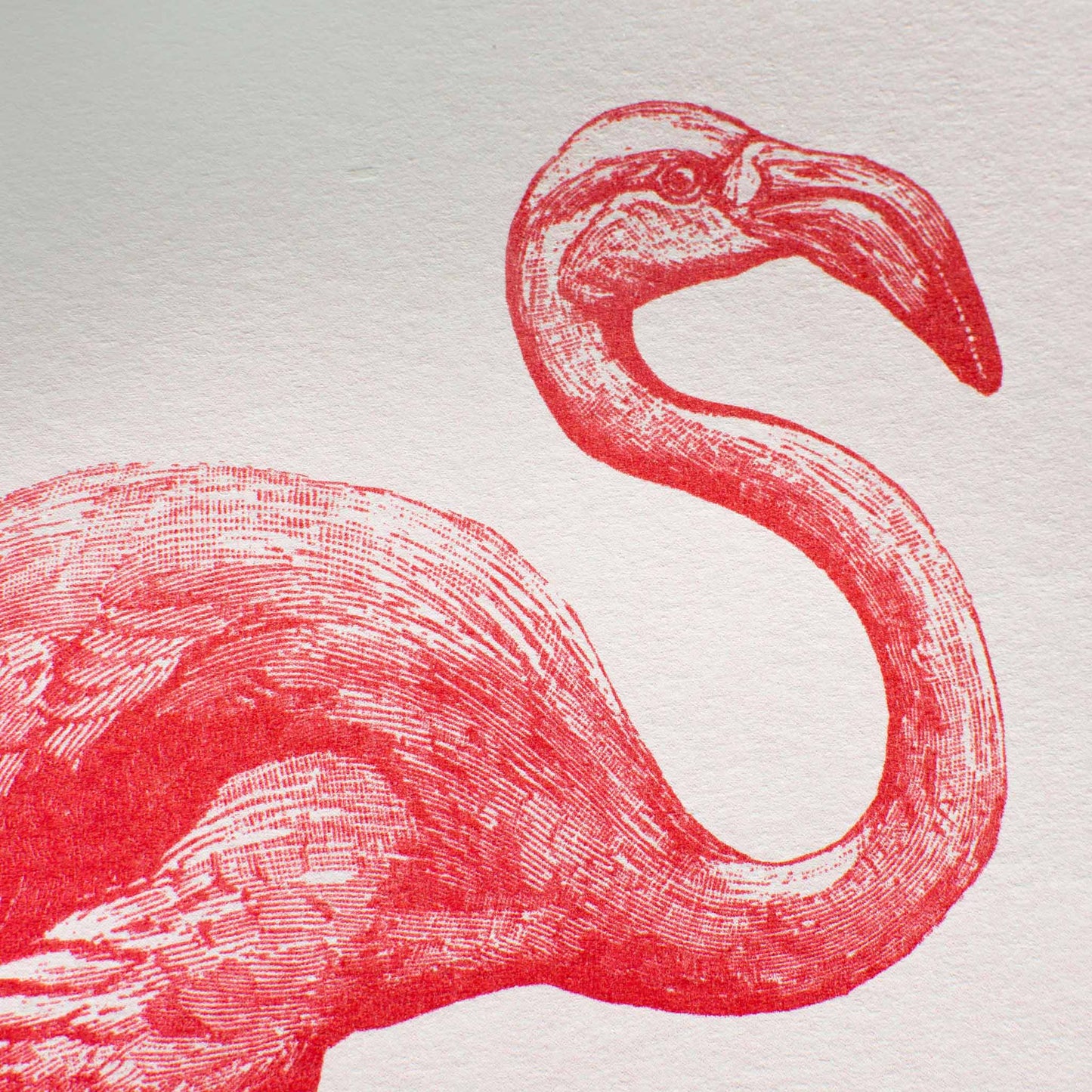 Artprint Flamingo Pink