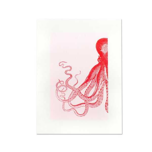 Artprint Poulpes