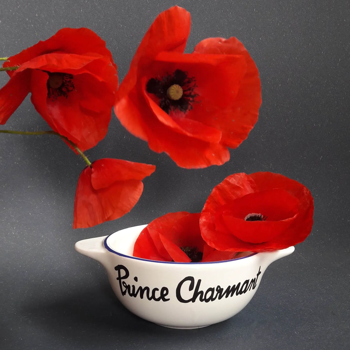 Breton Prince Charming Bowl