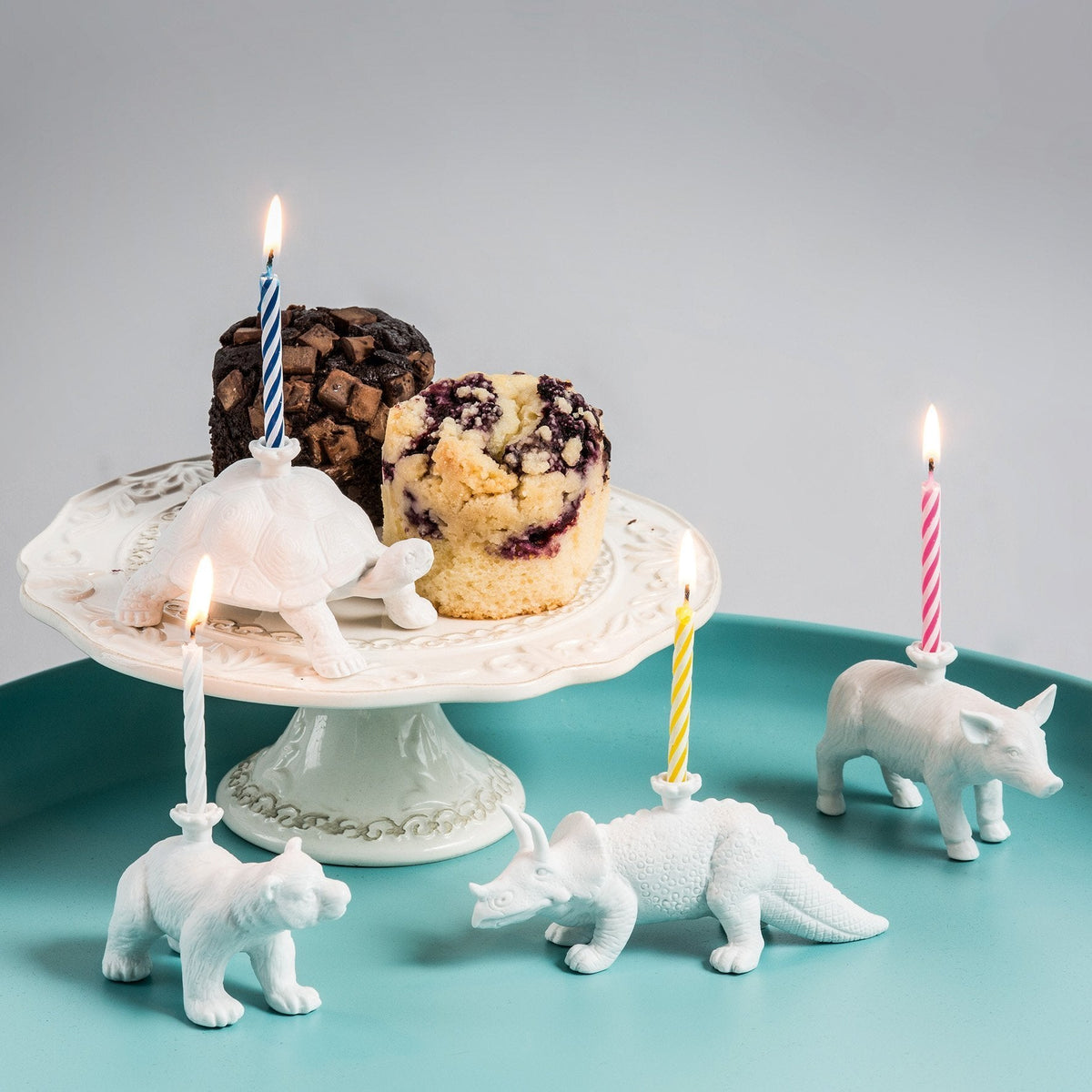 Velas de aniversário da tartaruga