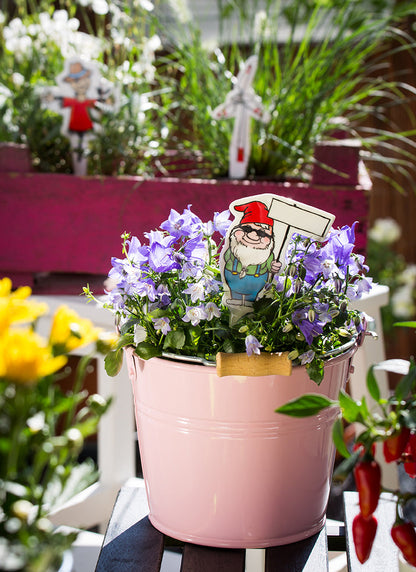 Rótulo de vaso de flores anões de jardim