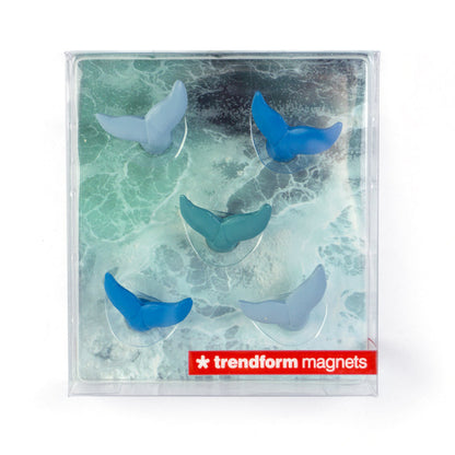 Magnets Baleines Bleues