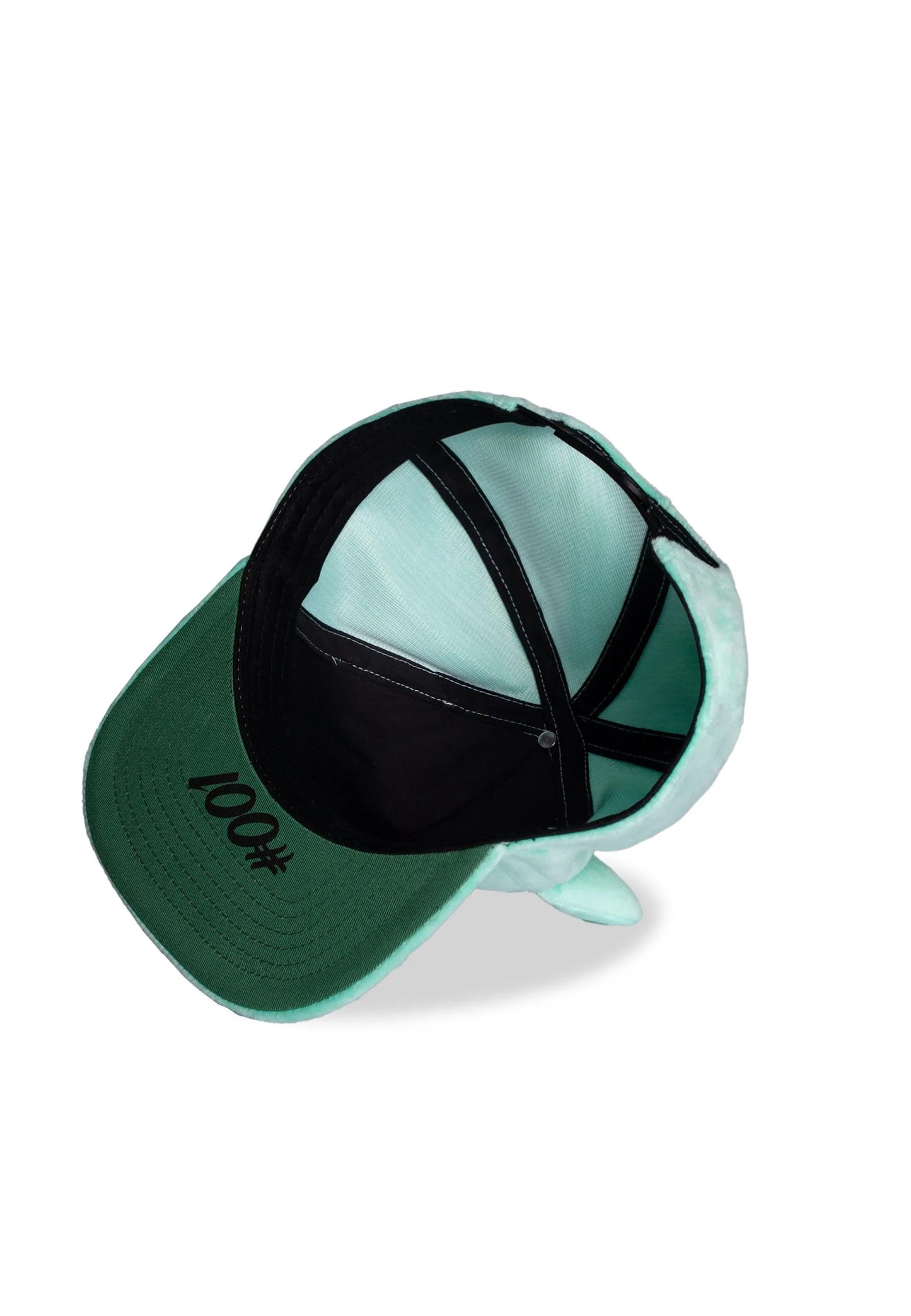 Gorra Snapback de felpa Bulbasaur