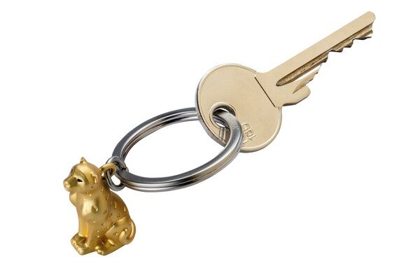 Leopold leopard keys door