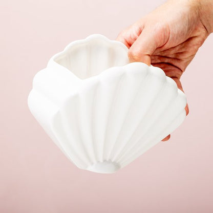 White shellfish flower pot