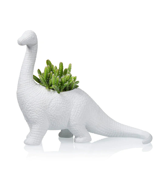 Plantauro de dinossauros de flor