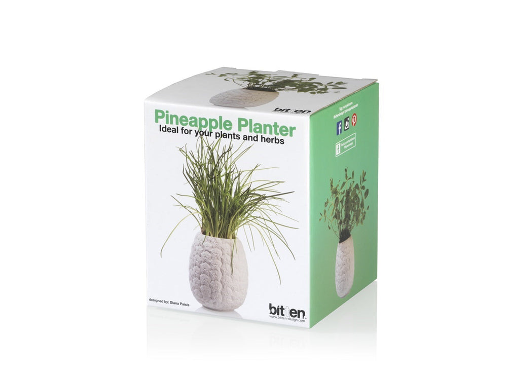 Blumentopf Ananas