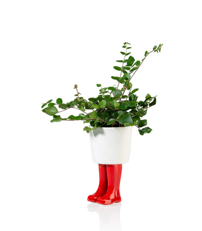 Botas de frasco de flores wellington rojo