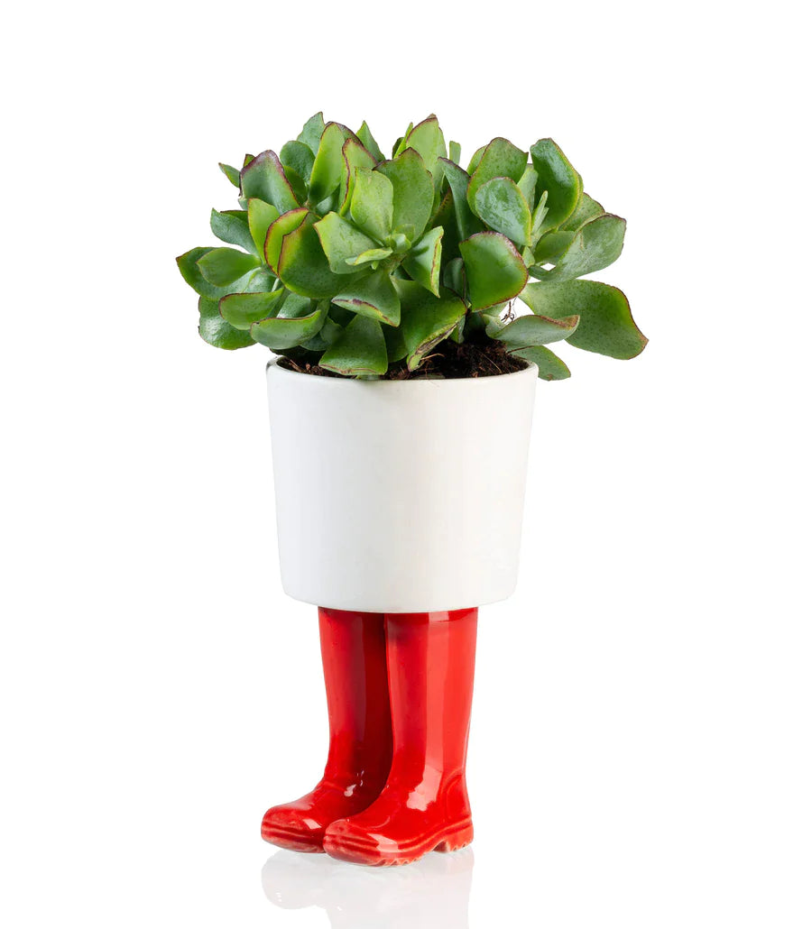 Botas de jarra de flores Wellington Red