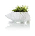 Plant Pot Hérisson