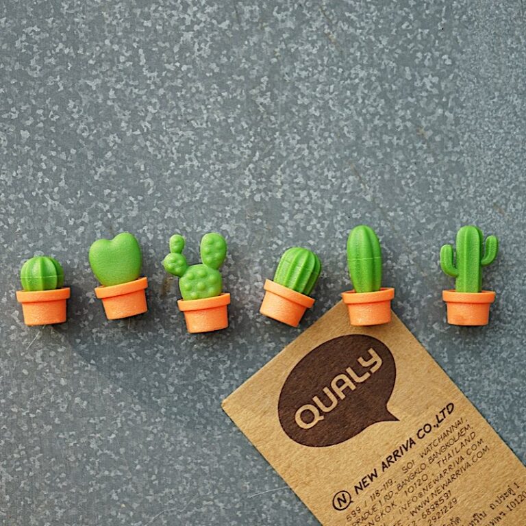Ímanes de cacto "Cacnet" 